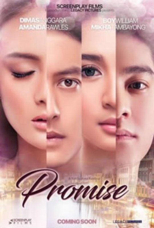Promise : this is not only about love
